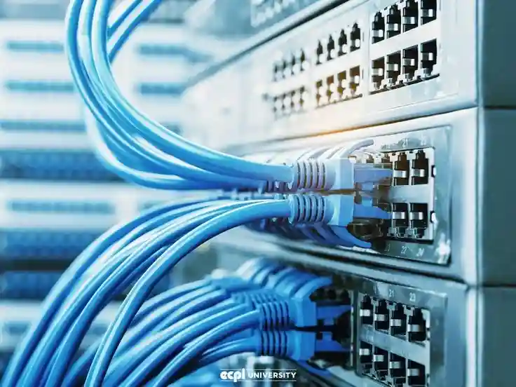 data_and_cable_structure